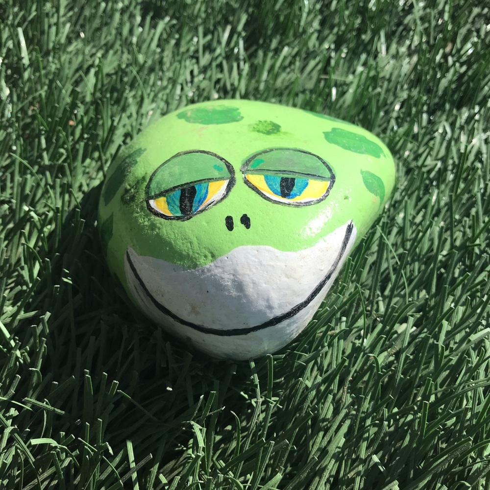 Frog painted rock